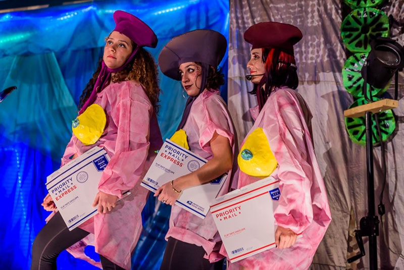 Purim Shows