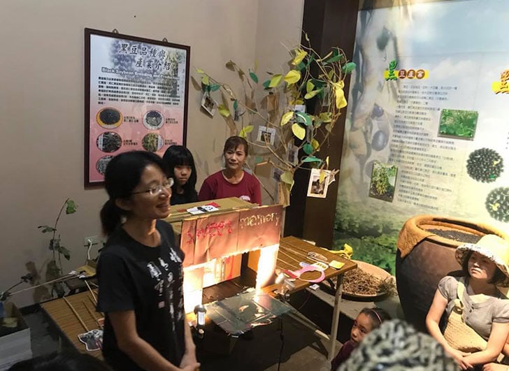 Toy Theater Workshops